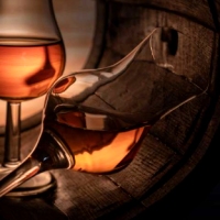 Wine tour Cognac