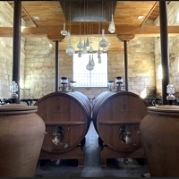 Wine tour Saint Emilion